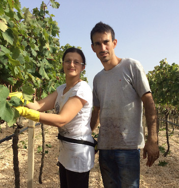 Cantina tre pini OceněnáVína_CZ